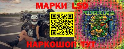 шишки Новозыбков