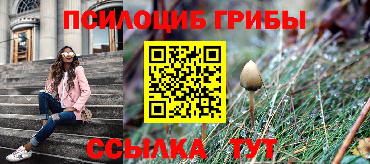 A PVP Курск