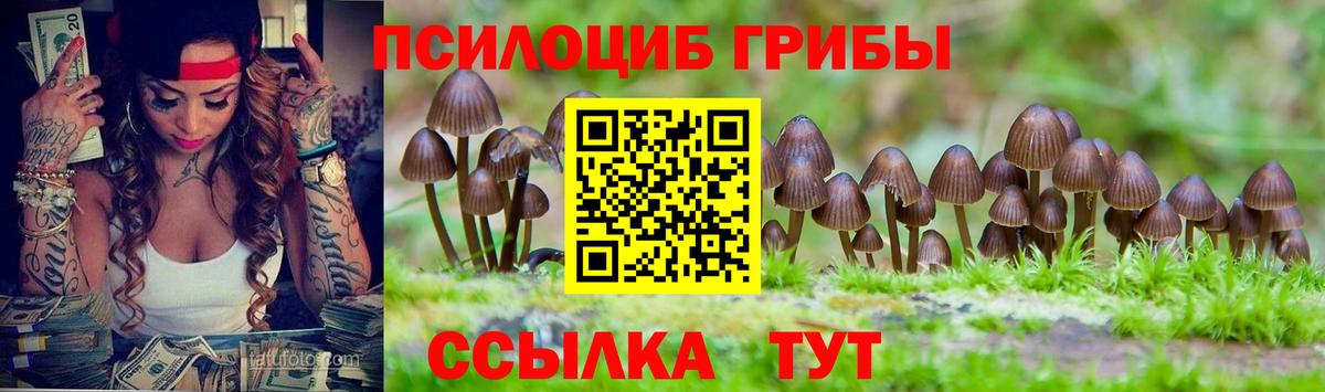 Галлюциногенные грибы MAGIC MUSHROOMS Курск