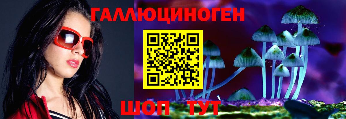 где продают наркотики  Вход с VPN  Курск  Псилоцибиновые грибы GOLDEN TEACHER 